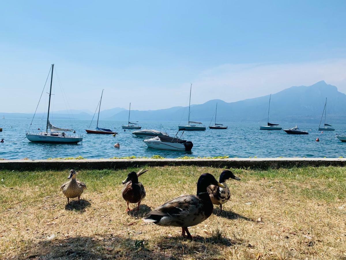 Sky Fort Garda View 西尔米奥奈 外观 照片
